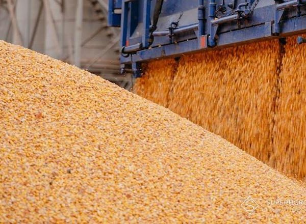 Аграрії України зазнають збитків через проблеми з портами, а альтернативні&hellip;