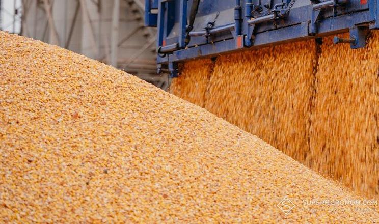 Аграрії України зазнають збитків через проблеми з портами, а альтернативні логістичні шляхи збільшують вартість&hellip;