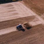 Українські аграрії скоротили посіви: причини та майбутні наслідки