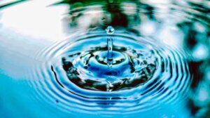 ГОЛОВНА 45 Організації водокористувачів: новий етап зрошення в Україні