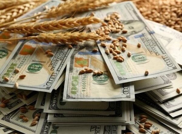 Франція нарощує експорт пшениці до Єгипту через проблеми з логістикою в Чорному морі