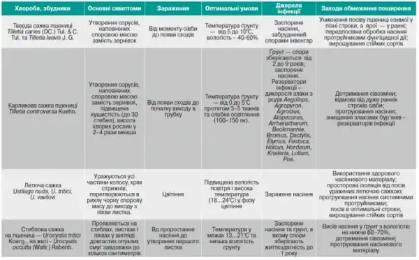 Сажка: ідентифікація та стратегії боротьби 16