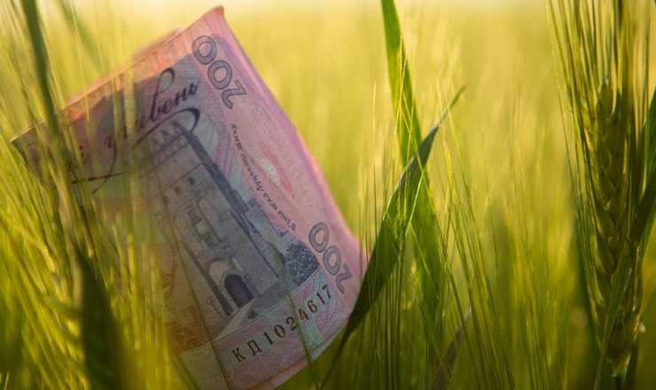 ГОЛОВНА 18 Держава гарантує 20,8 мільярда гривень для агрокредитів