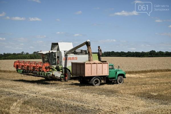 Фермери з прифронтових областей уникають зберігання зерна через ризик обстрілів. 11 Фермери з прифронтових областей уникають зберігання зерна через ризик обстрілів. 11