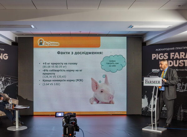 Європа та Україна обговорять добробут свиней на Pigs Farming Industry