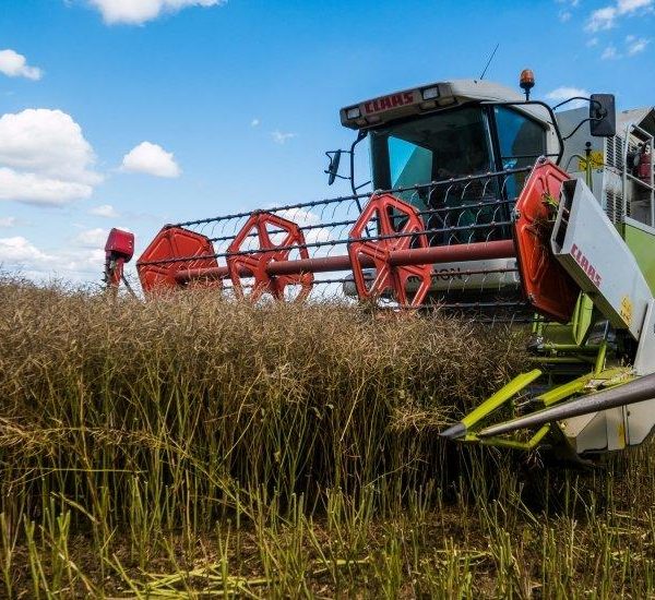 Українське сільське господарство демонструє спад: за шість місяців показники впали на 1,6% — АГРОПОЛІТ