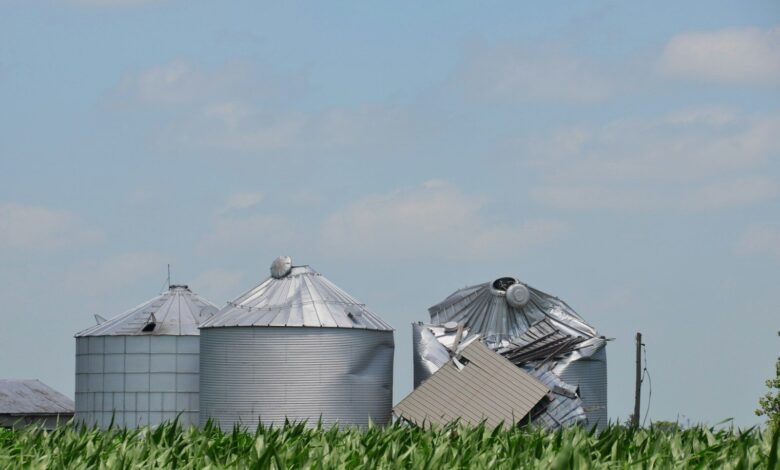 USDA прогнозує зростання урожаю зернових в Україні, але зменшує прогноз експорту 2 Severely damaged farm silos after a storm in a cornfield.