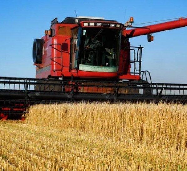 Україна наростила аграрну торгівлю з ЄС до $8,55 млрд: названо ключових партнерів