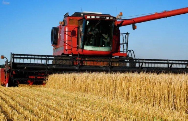 Україна наростила аграрну торгівлю з ЄС до $8,55 млрд: названо ключових партнерів 7 Україна наростила аграрну торгівлю з ЄС до $8,55 млрд: названо ключових партнерів 4