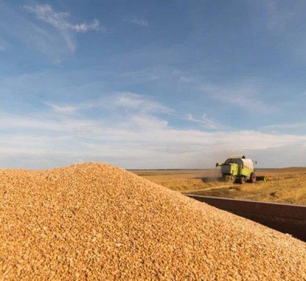 Україна звертається до ЄС із проханням про виділення 220 мільйонів євро для допомоги аграріям — АГРОПОЛІТ
