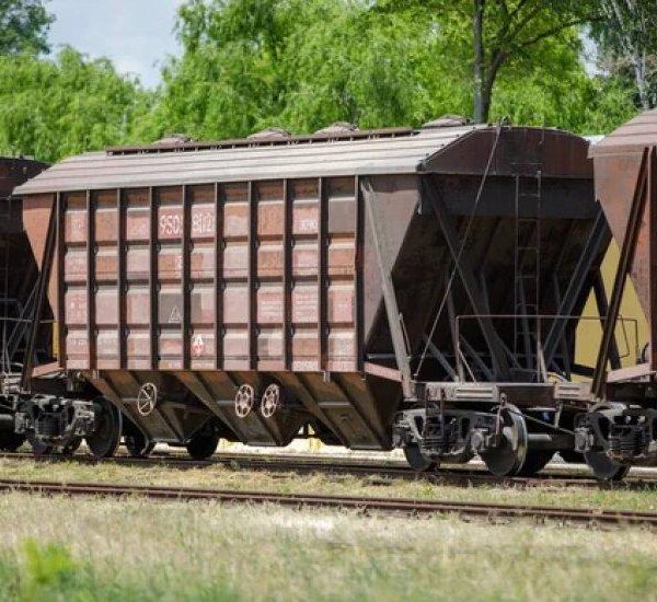 Зерновози на кордоні: черги зросли утричі, український агроекспорт стикається з новими логістичними перешкодами — АГРОПОЛІТ