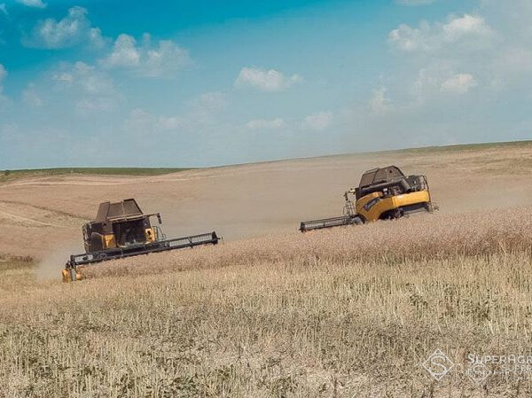 Збір ранніх зернових культур 2026 року на Івано-Франківщині закінчено, середня врожайність сягнула 5,64 тонни з гектара — SuperAgronom.com