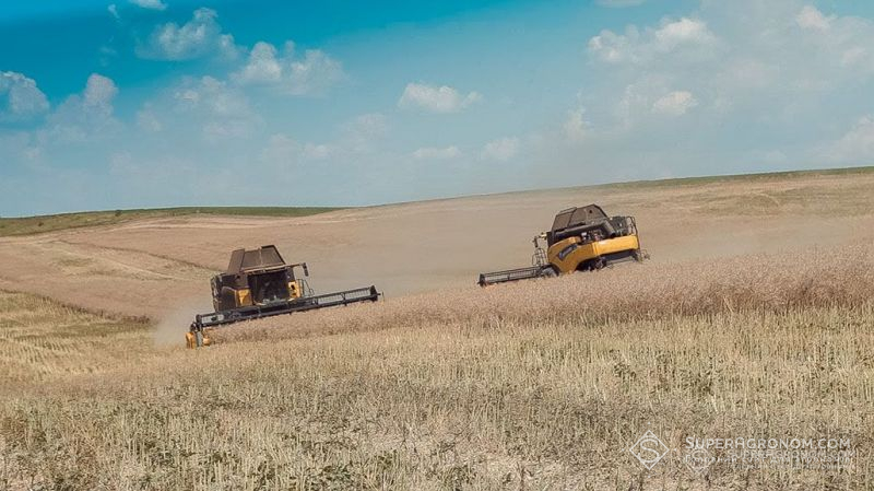 На Івано-Франківщині завершено жнива ранніх культур: урожайність ріпаку 3,02 т/га, пшениці 5,52 т/га