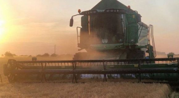 Lentil harvesting at Tekom Agro Group На Одещині агрогрупа завершила збір урожаю сочевиці: причини значних відмінностей у врожайності між ділянками — SuperAgronom.com 7