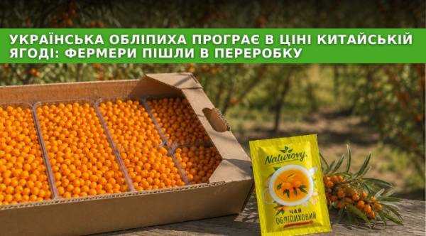 Обліпиха: українці змагаються з Китаєм через переробку 1 Обліпиха: українці змагаються з Китаєм через переробку 1