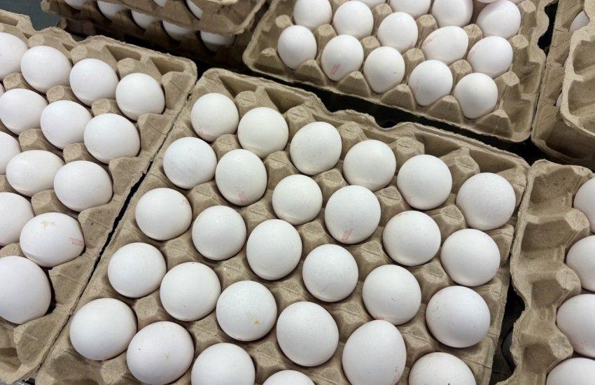 Яйця в Україні коштуватимуть на 15% дорожче через логістичні зміни 2 Виробники м’яса птиці та яєць прогнозують зростання собівартості продукції на 10–15%