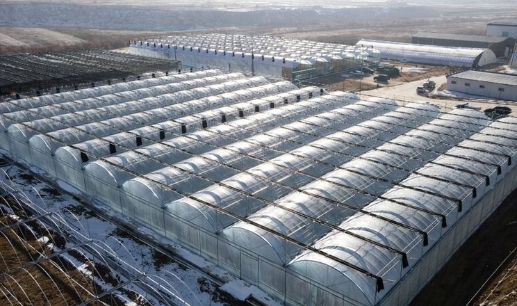 На Хмельниччині запрацював тепличний кластер Podillia Greenhouse Cluster 2 На Хмельниччині створили кластер Podillia Greenhouse Cluster