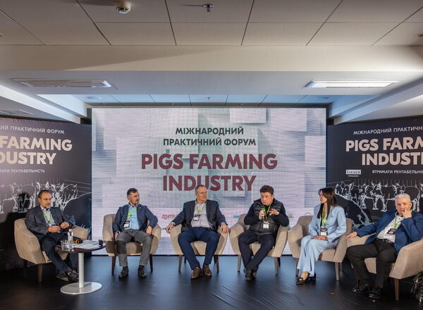 Генетика покращить ефективність свиноферм: форум Pigs Farming Industry
