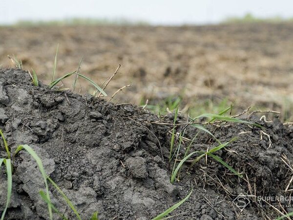 Агрохолдинг звільнив 3 тисячі гектарів землі на Харківщині