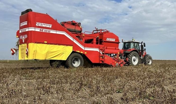 Французька картопля втратить чверть врожаю через спеку 2 Виробництво картоплі у Франції може впасти на 23% через спеку