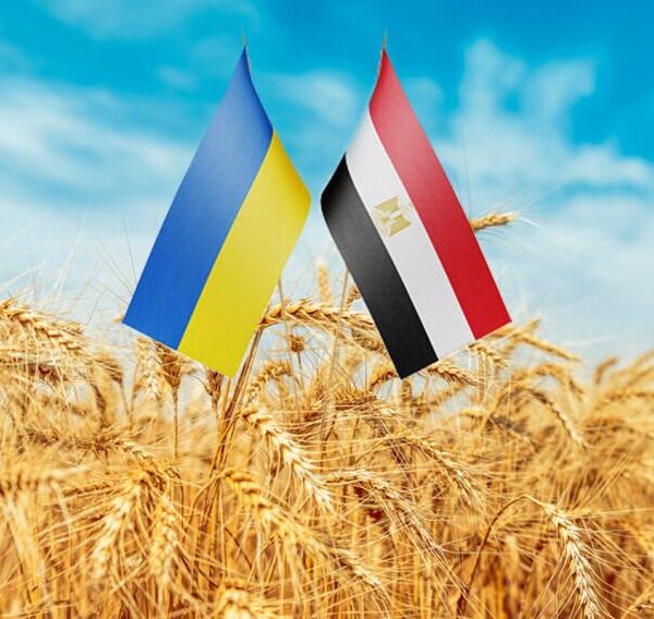 Єгипет і Туреччина посилюють конкуренцію за світові ринки зерна