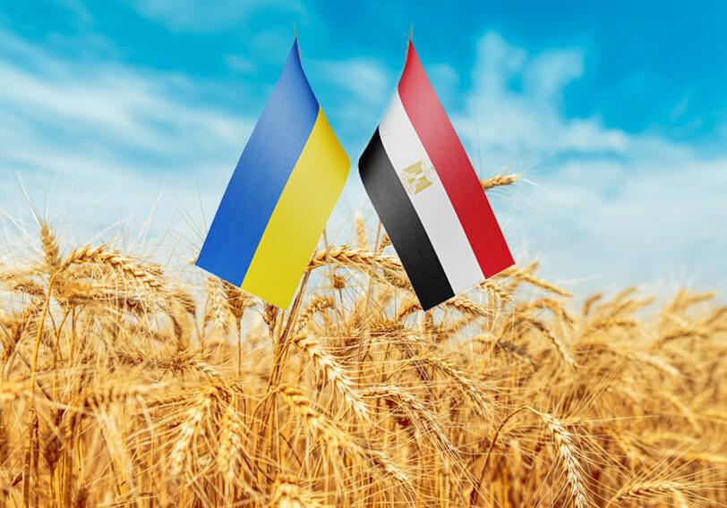 Єгипет і Туреччина посилюють конкуренцію за світові ринки зерна 2 Одним із найбільш вразливих для України ринків є Єгипет