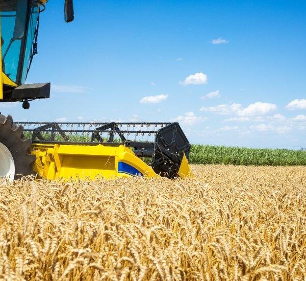 Держава виплатила аграріям 175 млн грн компенсацій за українську техніку