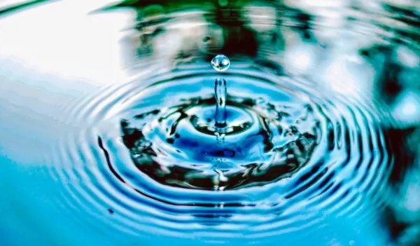 Організації водокористувачів: нова модель зрошення в Україні