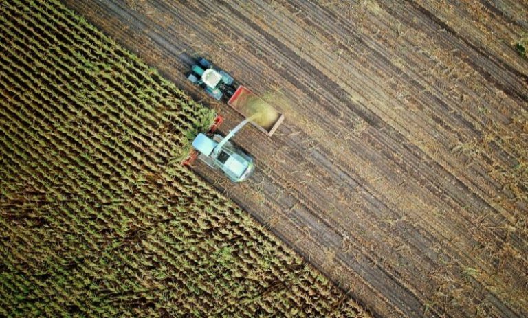Експорт агропродукції з України за перші тижні серпня скоротився на 57% 13 Експорт агропродукції з України за перші тижні серпня скоротився на 57% 10
