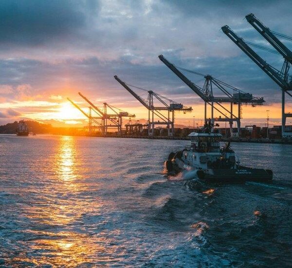 Висоцький: морський коридор для агроекспорту запрацює за однієї умови