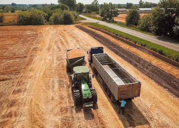 Cygnet Agrocompany: прогноз посівної структури на 2027 рік і врожайності поточного сезону
