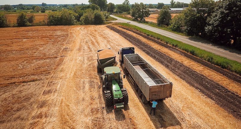 Cygnet Agrocompany: прогноз посівної структури на 2027 рік і врожайності поточного сезону 3 В Cygnet Agrocompany підбили підсумки жнив та розповіли про плани на посівну 2027