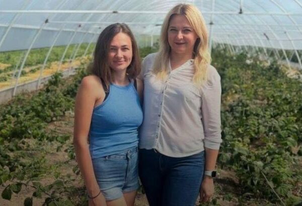 Вінничанка розвиває малиновий бізнес завдяки держгрантові
