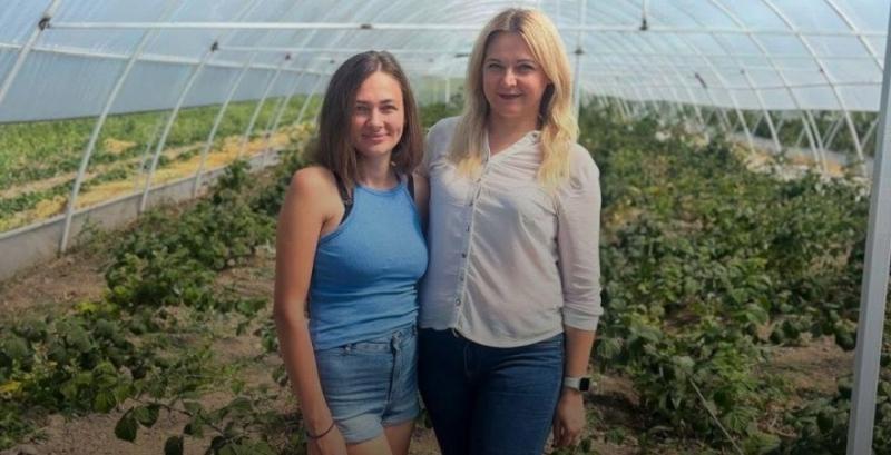 Вінничанка розвиває малиновий бізнес завдяки держгрантові 4 Фермерка з Вінниччини розвиватиме тепличне вирощування малини