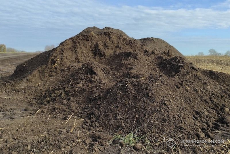 ГОЛОВНА 16 «Скіф» зменшує залежність від міндобрив завдяки гною