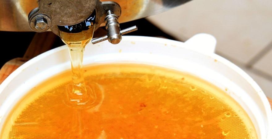 Цьогорічний урожай медоносних культур є кращим