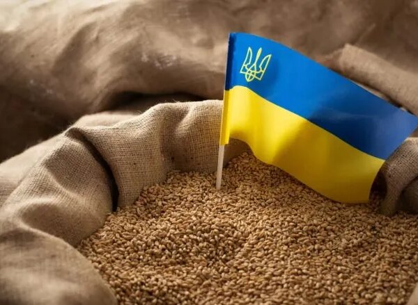 США інвестують у зберігання українського зерна