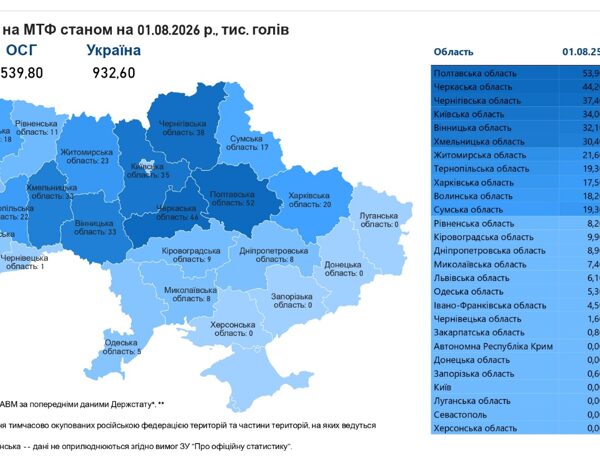 12 областей нарощують поголів’я корів: аграрний огляд
