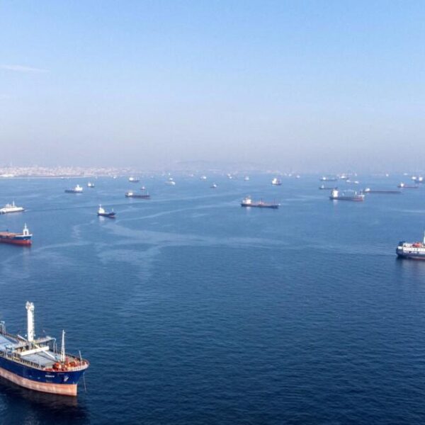 Блокада Чорного моря загрожує українській посівній 2027 року