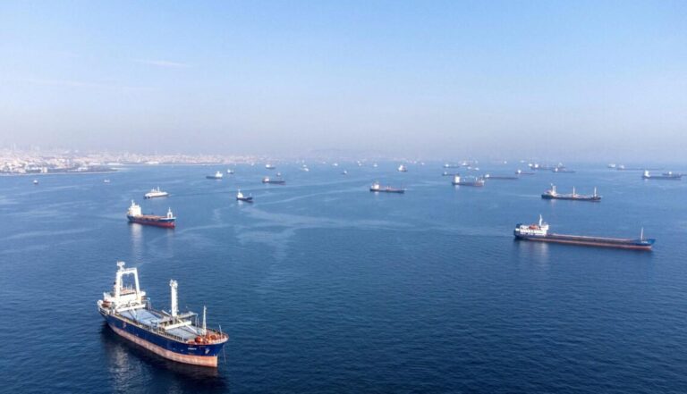 Блокада Чорного моря загрожує українській посівній 2027 року 4