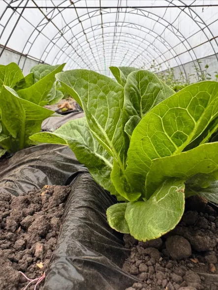 Юлія Ворощук: історія продукту — запорука успіху на ринку 12