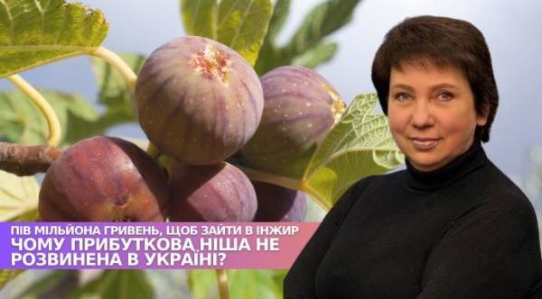 Дієвідмінюємо фінансовий старт: пів мільйона гривень для садівництва інжиру 14 Дієвідмінюємо фінансовий старт: пів мільйона гривень для садівництва інжиру 10