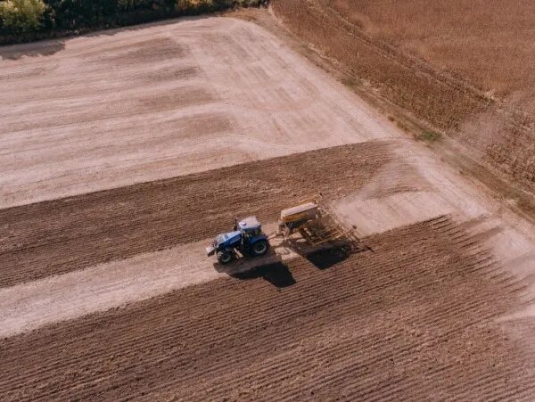 Скорочення посівів в Україні: причини та шляхи подолання