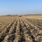 ГОЛОВНА 43 Біологізація землеробства: нові підходи до обробітку ґрунту