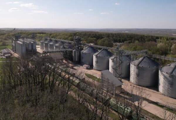 ГОЛОВНА 17 Зберігання зерна на елеваторах здорожчало на 10–20% — КУРКУЛЬ