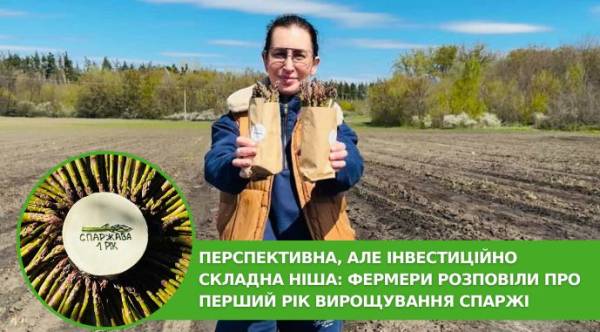 Харківщина: спаржа впевнено заходить на український ринок 13 Харківщина: спаржа впевнено заходить на український ринок 9