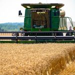 Аграрії Київщини подолали мільйон тонн збору зерна