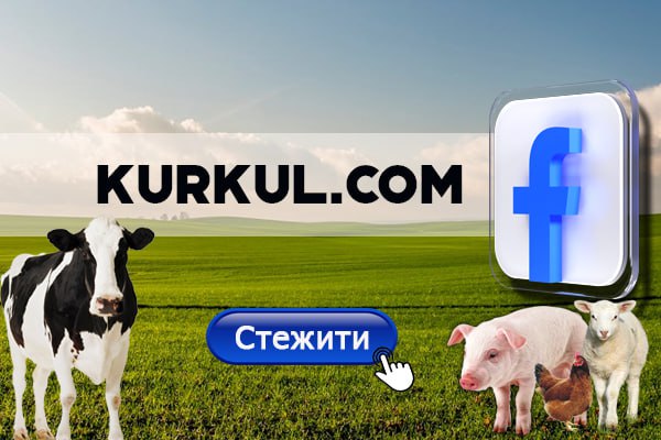 Соєві культури страждають від бактеріального опіку, церкоспорозу та септоріозу — КУРКУЛЬ 3 Соєві культури страждають від бактеріального опіку, церкоспорозу та септоріозу — КУРКУЛЬ 3