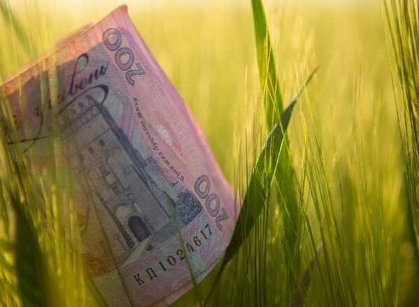 Держгарантії на 20,8 млрд грн стимулюватимуть агрокредитування