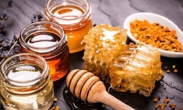 Пасічники визначили мінімальну ціну на мед: нижче продавати не готові